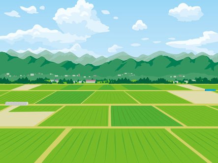 【農地法を攻略】筑紫野市の田畑・農地を売却する<br>手続きと農地転用のすべて